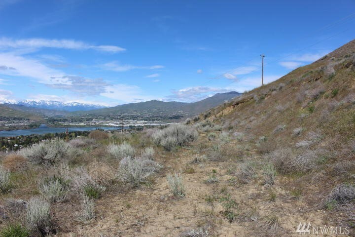 Property Photo: 469 Lower Daniels Dr WA 98802