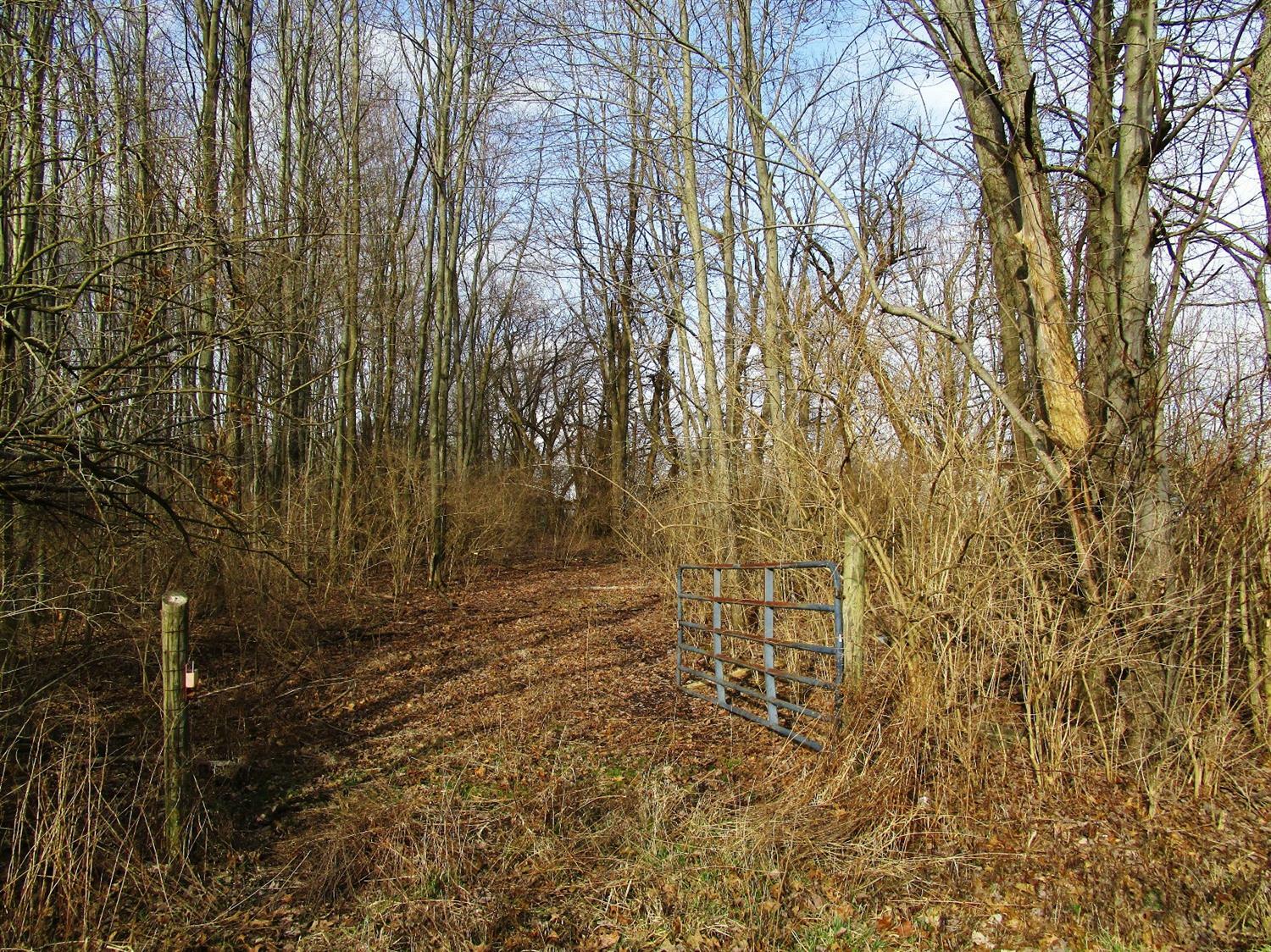 Property Photo:  0 7.13ac Todds Run Foster Road  OH 45176 