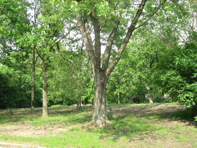 Property Photo:  25 Danube Way  IL 60461 