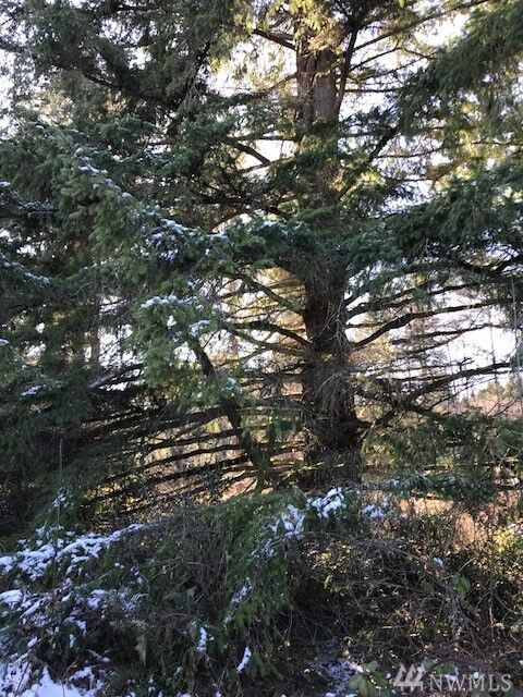 Property Photo:  28808 Hansville Rd NE  WA 98346 