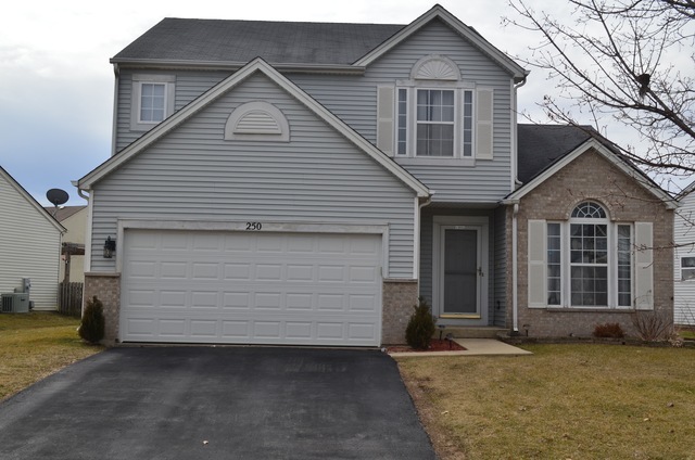 Property Photo:  250 E Daisy Circle  IL 60446 