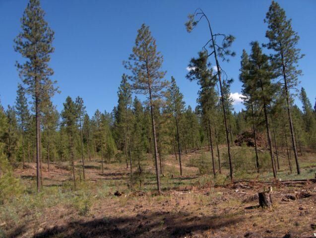 Property Photo:  Nna Highway 25 S  WA 99167 