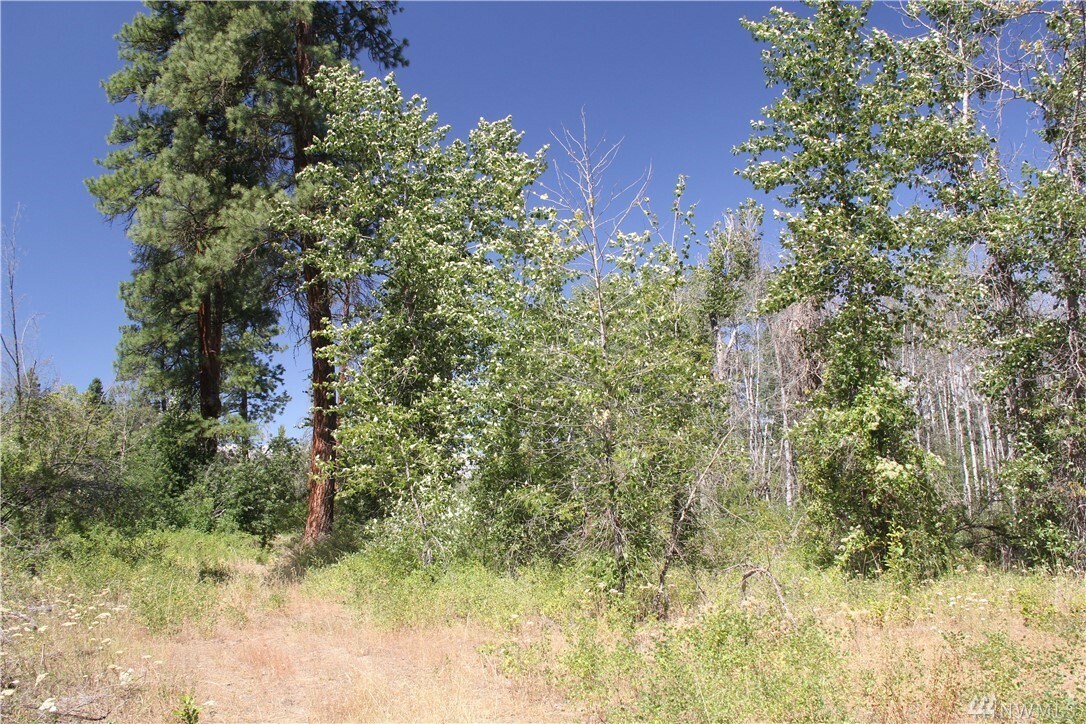 Property Photo:  20054 Highway 20  WA 98856 