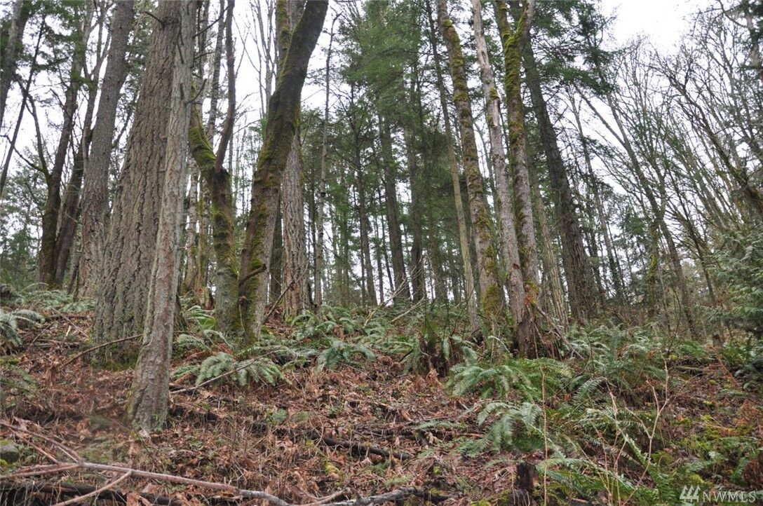 Property Photo: 42 Xx Dale Rd WA 98226