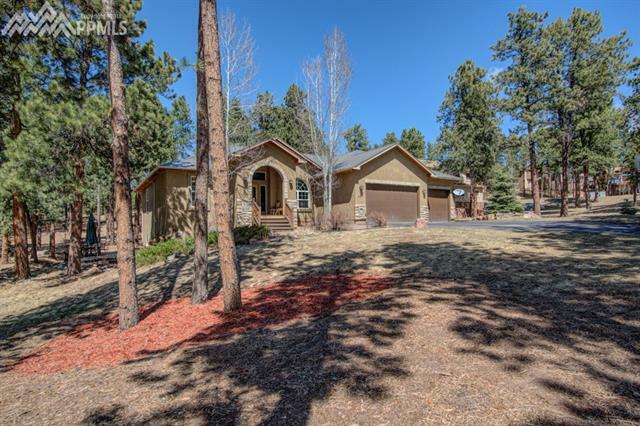 Property Photo:  425 Fairfield Lane  CO 80863 