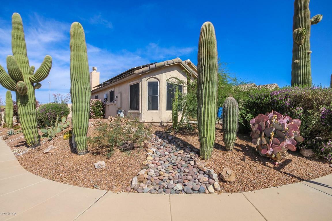 Property Photo:  12679 N Blue Sage Drive  AZ 85658 