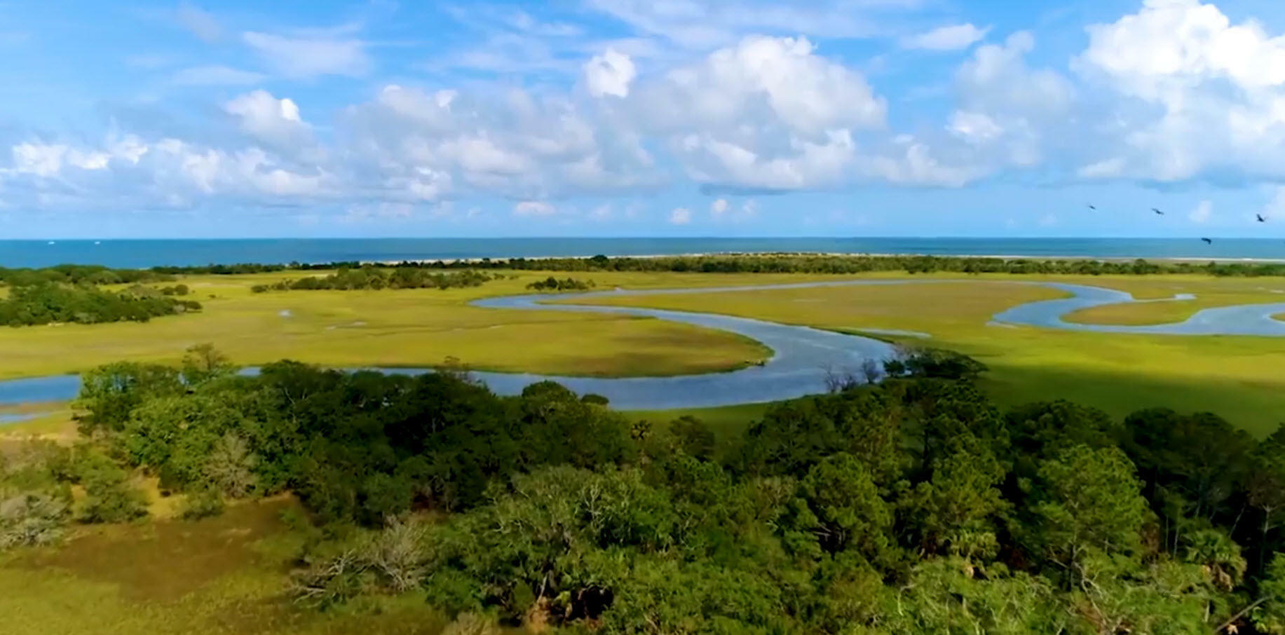 Property Photo: 248 Eagle Point Road SC 29455