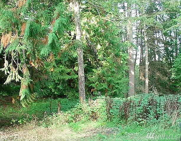 Property Photo:  18619 33rd St Kps  WA 98351 