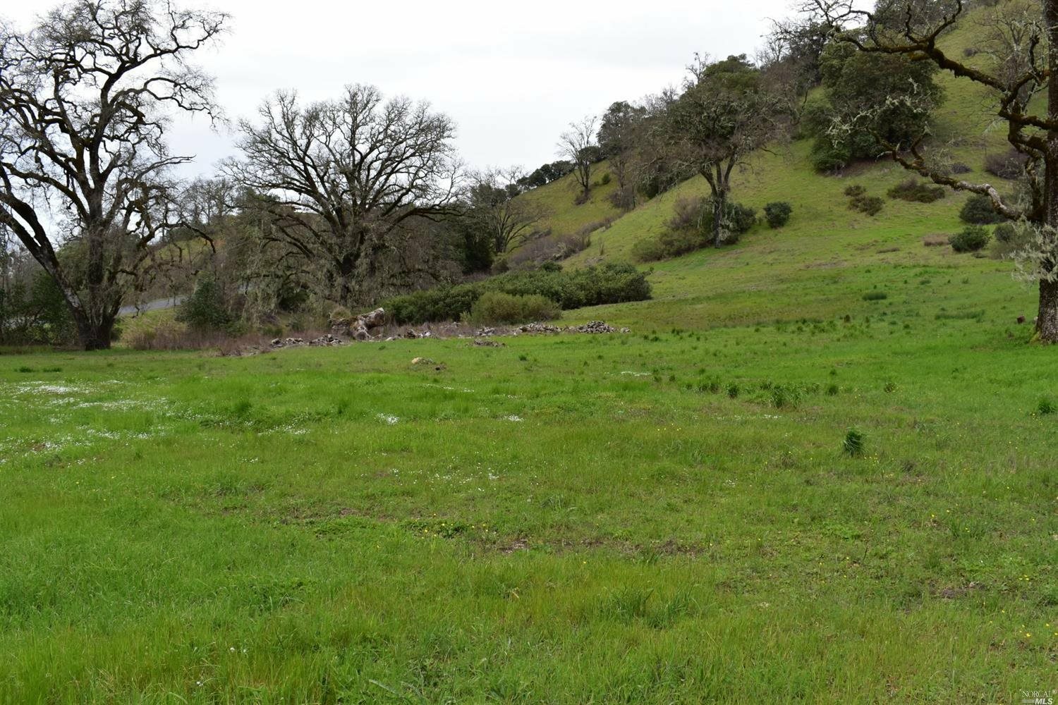 Property Photo:  1170 McNab Ranch Road  CA 95482 