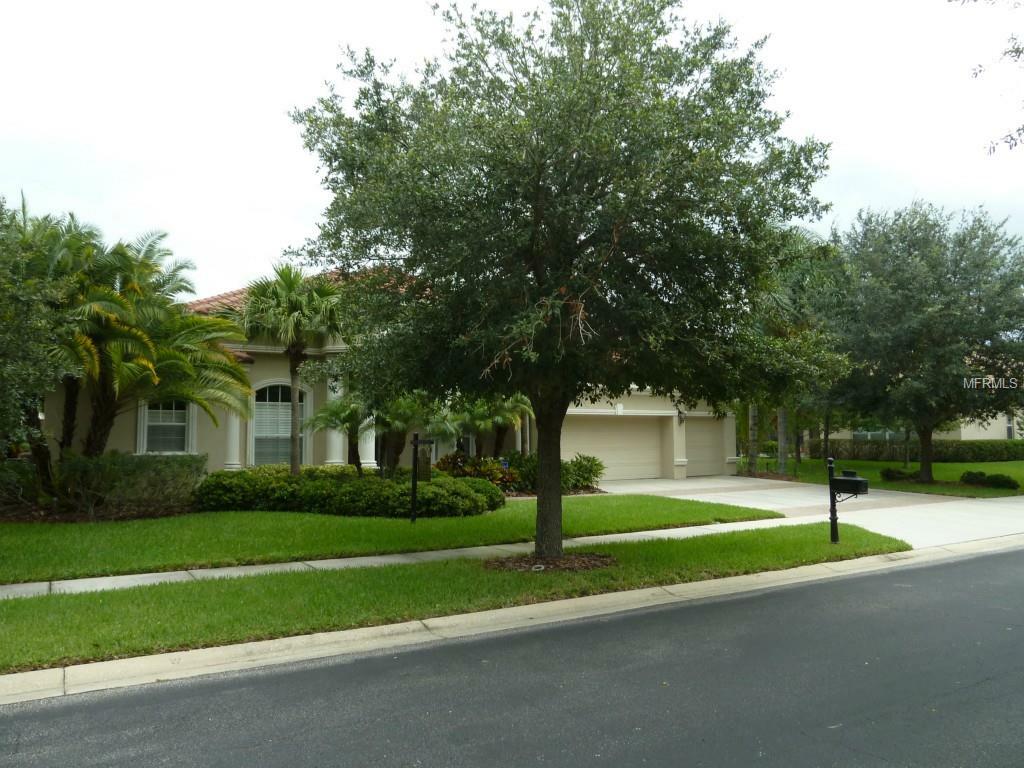 Property Photo:  17223 Emerald Chase Drive  FL 33647 