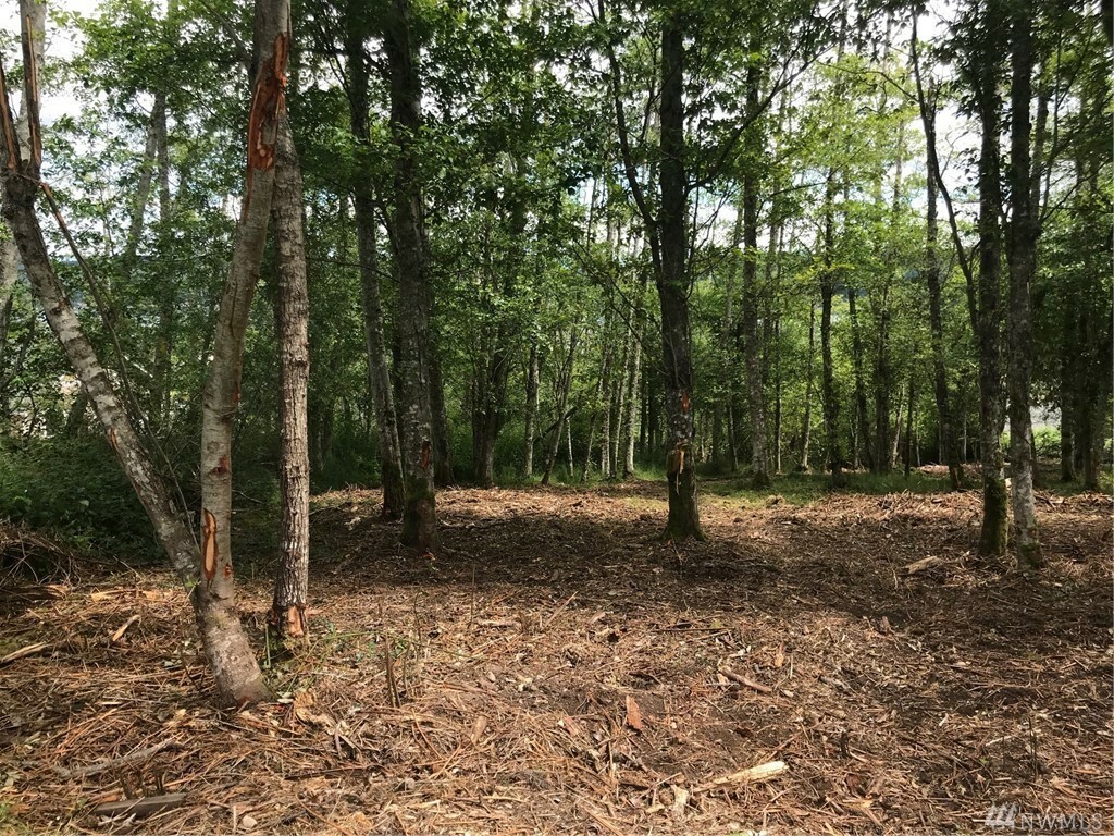 Property Photo: Lot 18 Breezefair Rd WA 98249