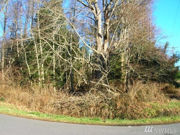 Property Photo: 9999 Admirals Cove 5 - Lot 76 WA 98239