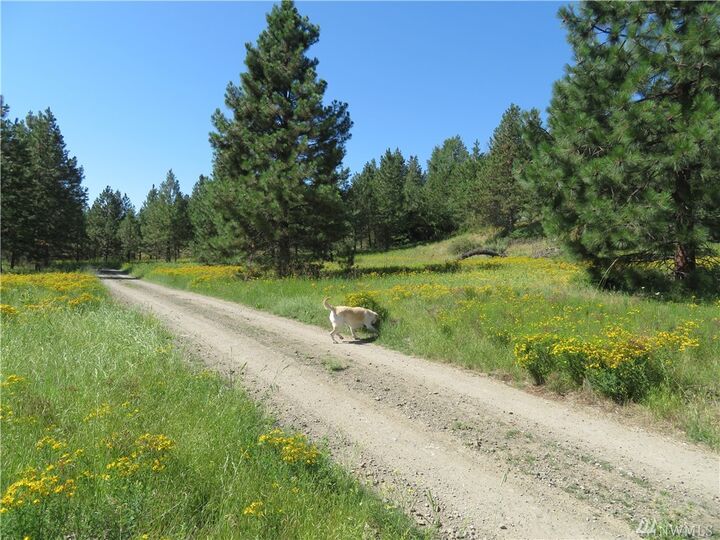 Property Photo:  Lot 1 Sourdough Flats Rd  WA 99166 