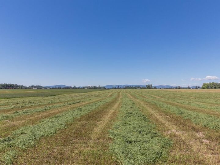 32209 N Division Rd  Deer Park WA 99006 photo