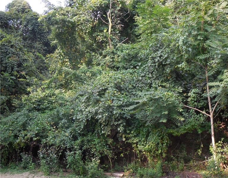 Property Photo: 0 Bristol St. PA 15207