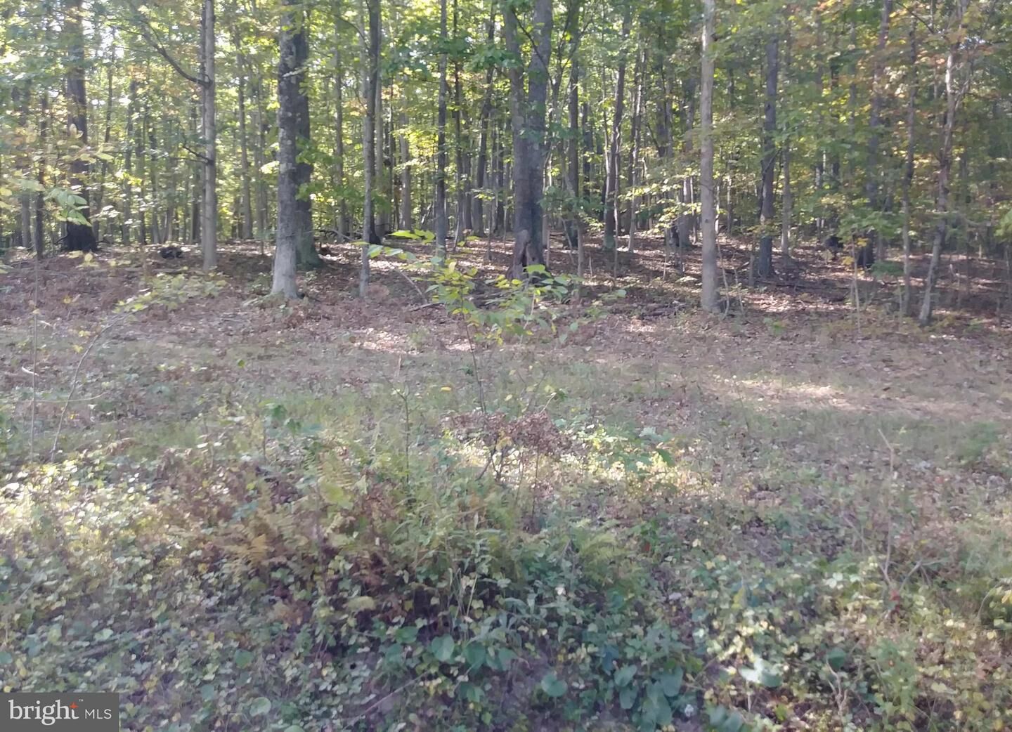 Property Photo: Brice Hollow Road MD 21502