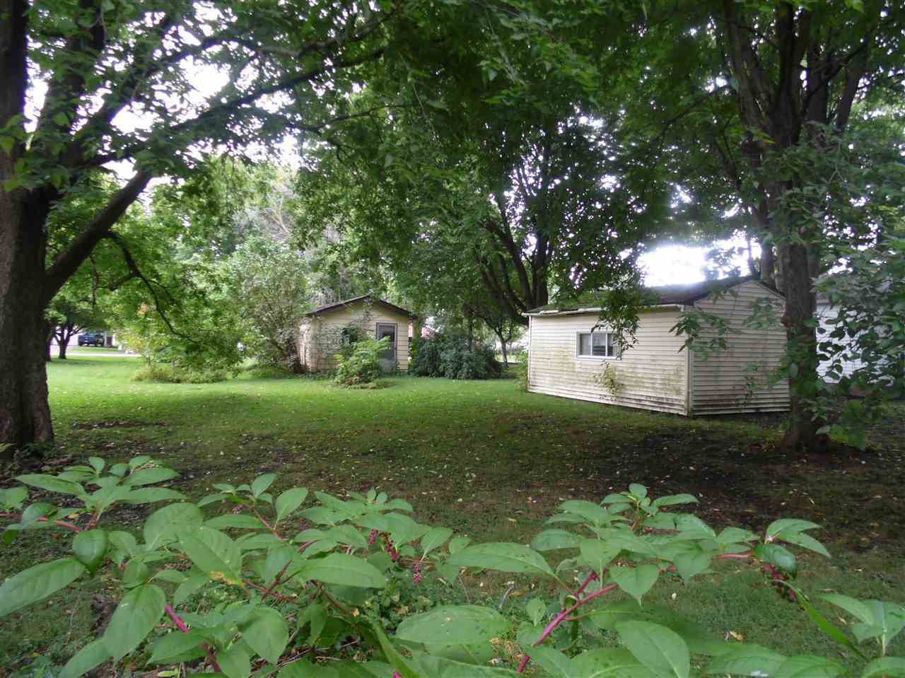 Property Photo:  309 S School  IL 61759 