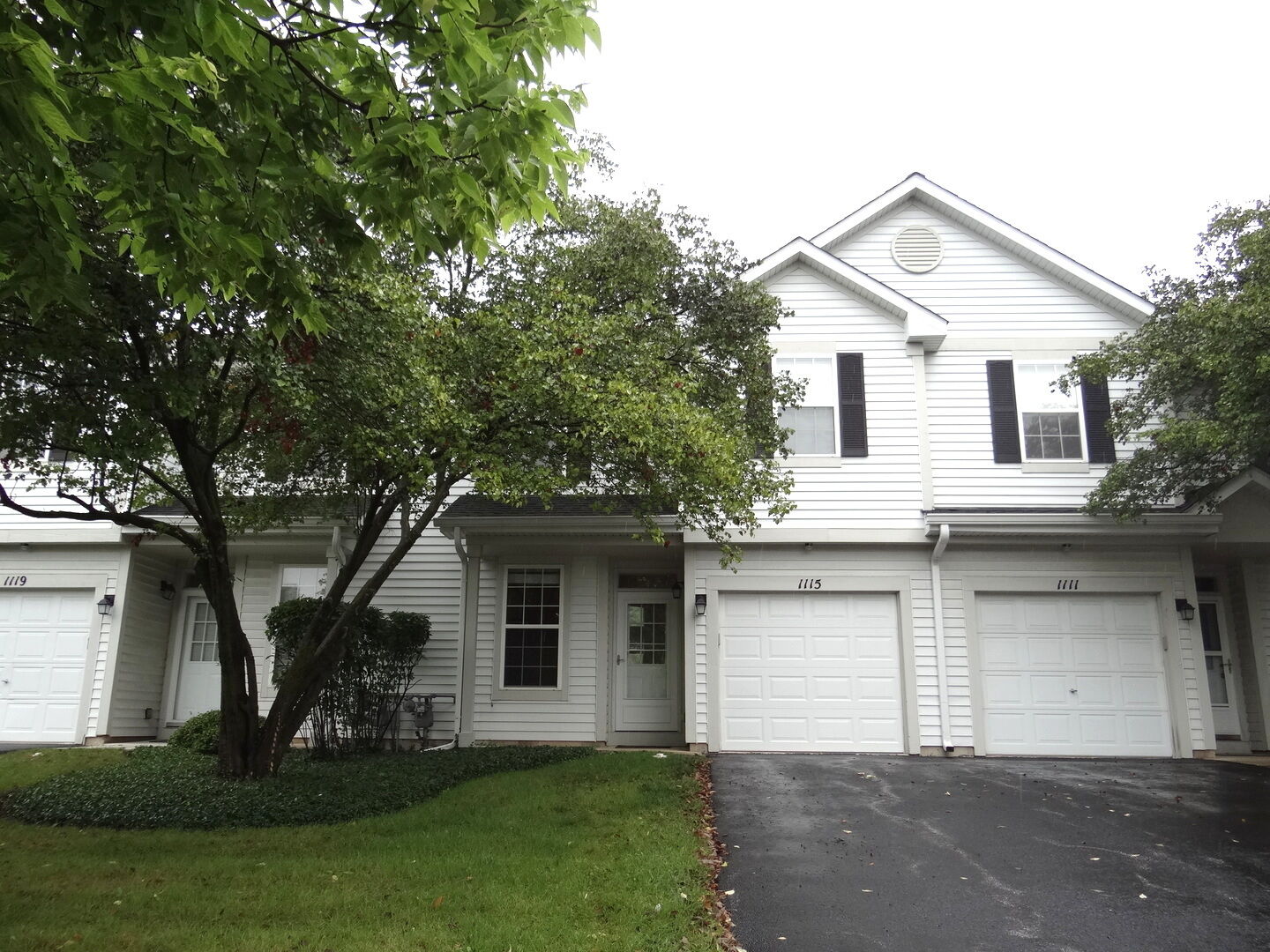 Property Photo: 1115 Grand Lake Court IL 60540
