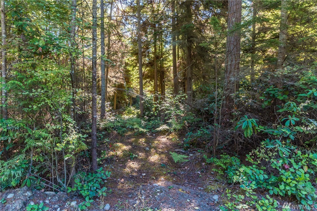 Property Photo:  Lot B Winterhawk Lane  WA 98239 