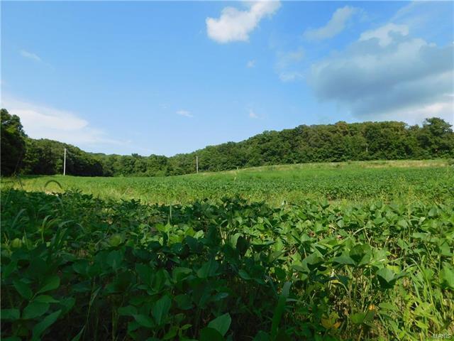 Property Photo: 0 Deer Run Road 63343