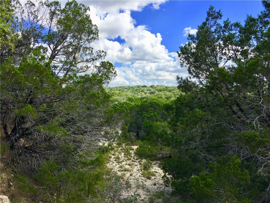 Property Photo:  0 McGregor Lane  TX 78620 