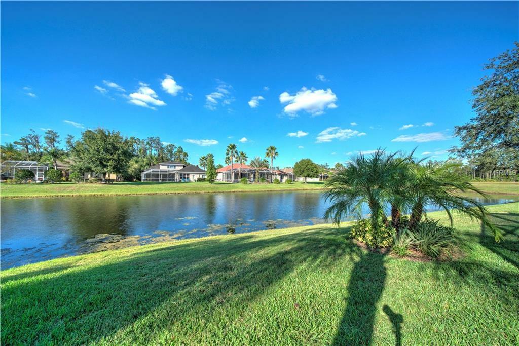 Property Photo:  27045 Firebush Drive  FL 33544 