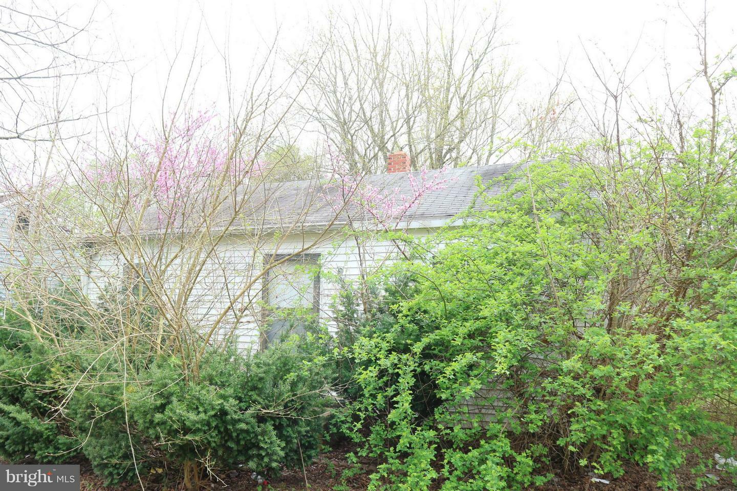 Property Photo:  314 Cherry Way  MD 21804 