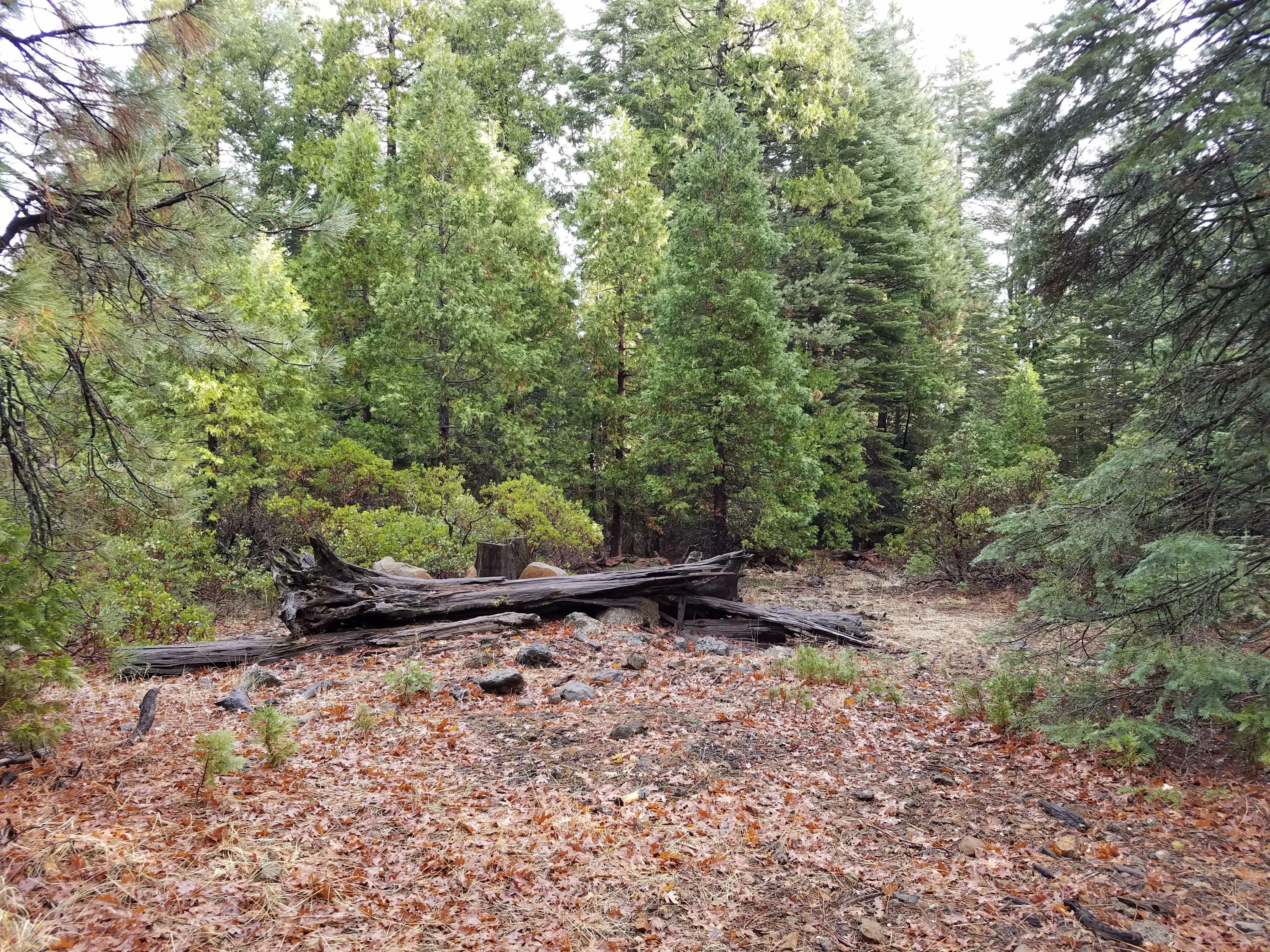 Property Photo:  Lot 13 Pine Forest Estates  CA 96088 