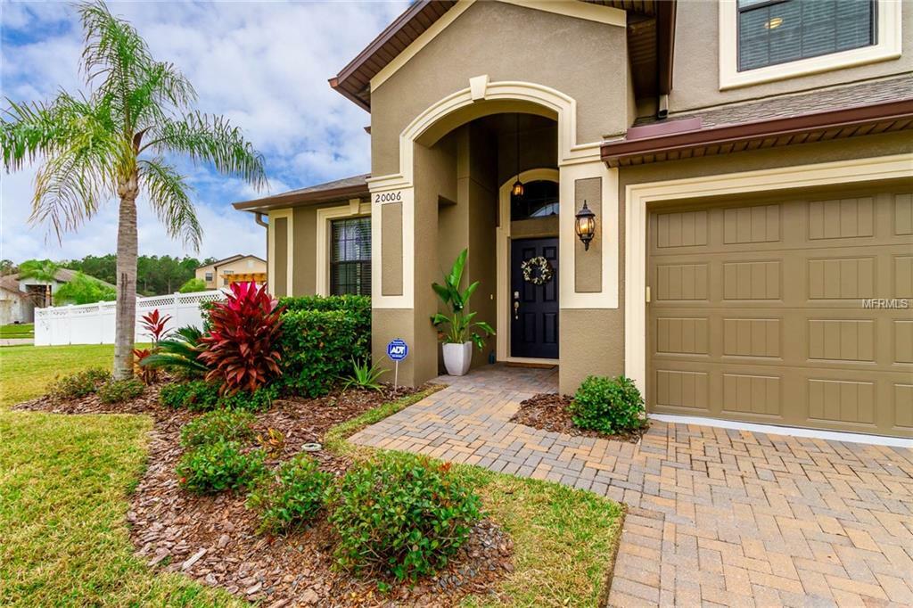 Property Photo:  20006 Satin Leaf Avenue  FL 33647 