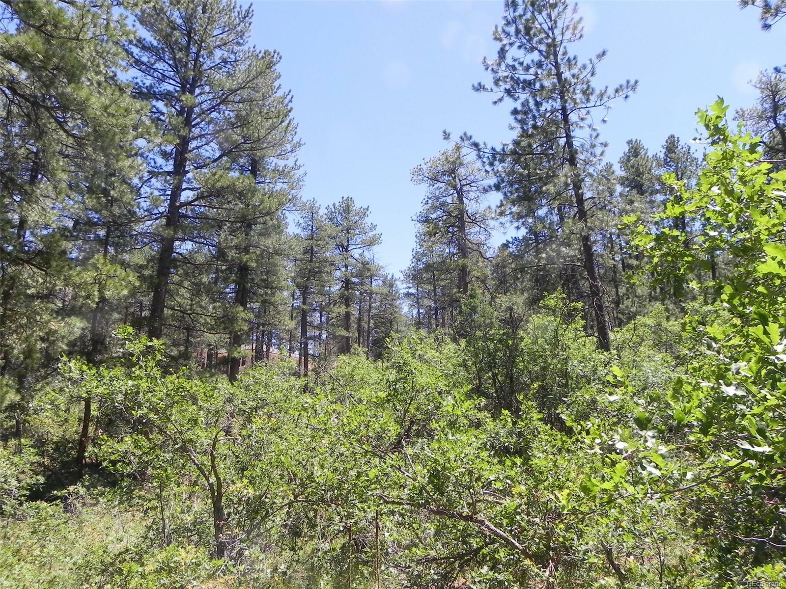 Property Photo:  8058 Inca Road  CO 80118 