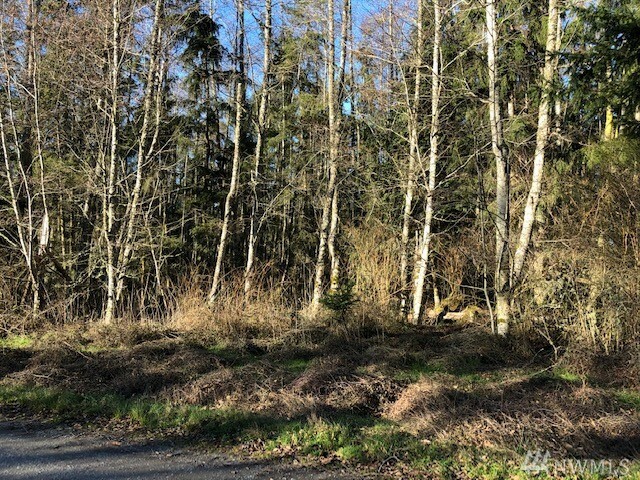 Property Photo:  0 Highland Trail Rd  WA 98239 