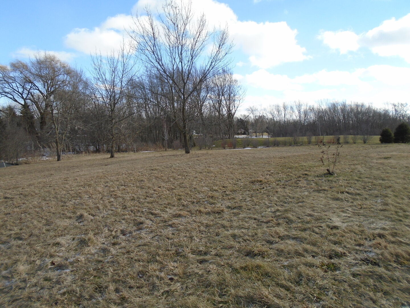 Property Photo:  23043 Foxridge Court  IL 60010 