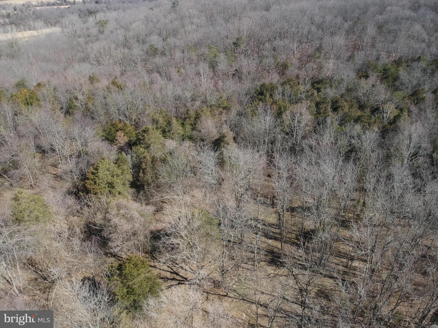 Property Photo: Valley Crest Drive VA 22650