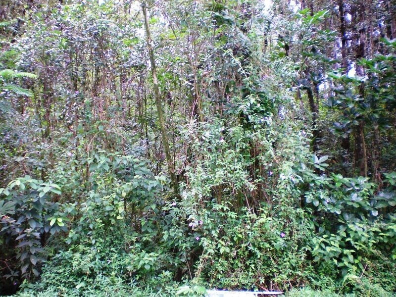 Property Photo:  11-3057 113057  HI 96785 