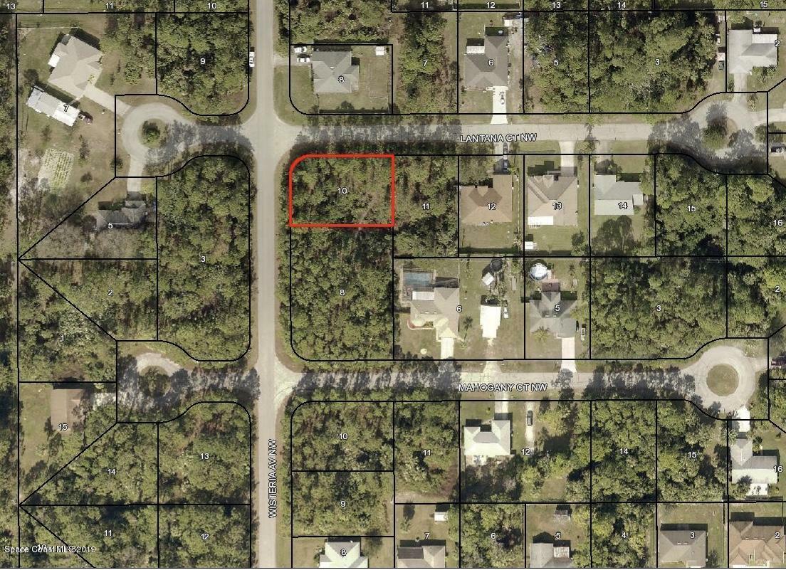 Property Photo:  000 Wisteria Avenue NW  FL 32907 