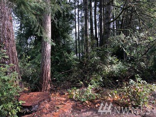 Property Photo:  5415 W Old Stump Dr NW  WA 98332 