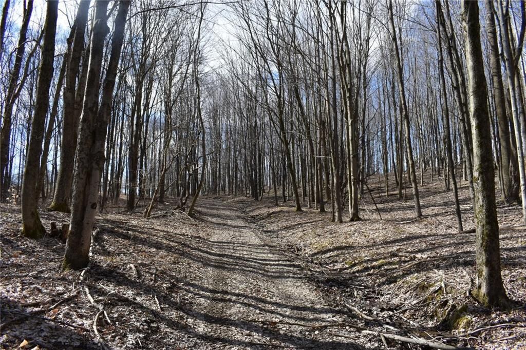 Property Photo: 0 Vanname NY 14772