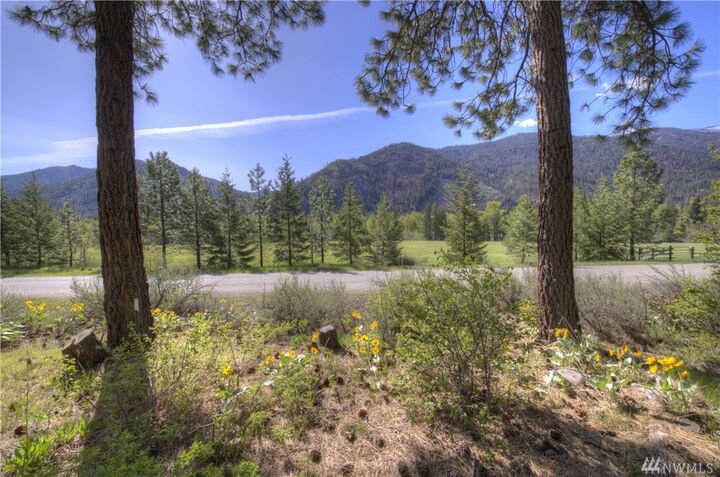 Property Photo:  1110 Twisp River Rd  WA 98856 