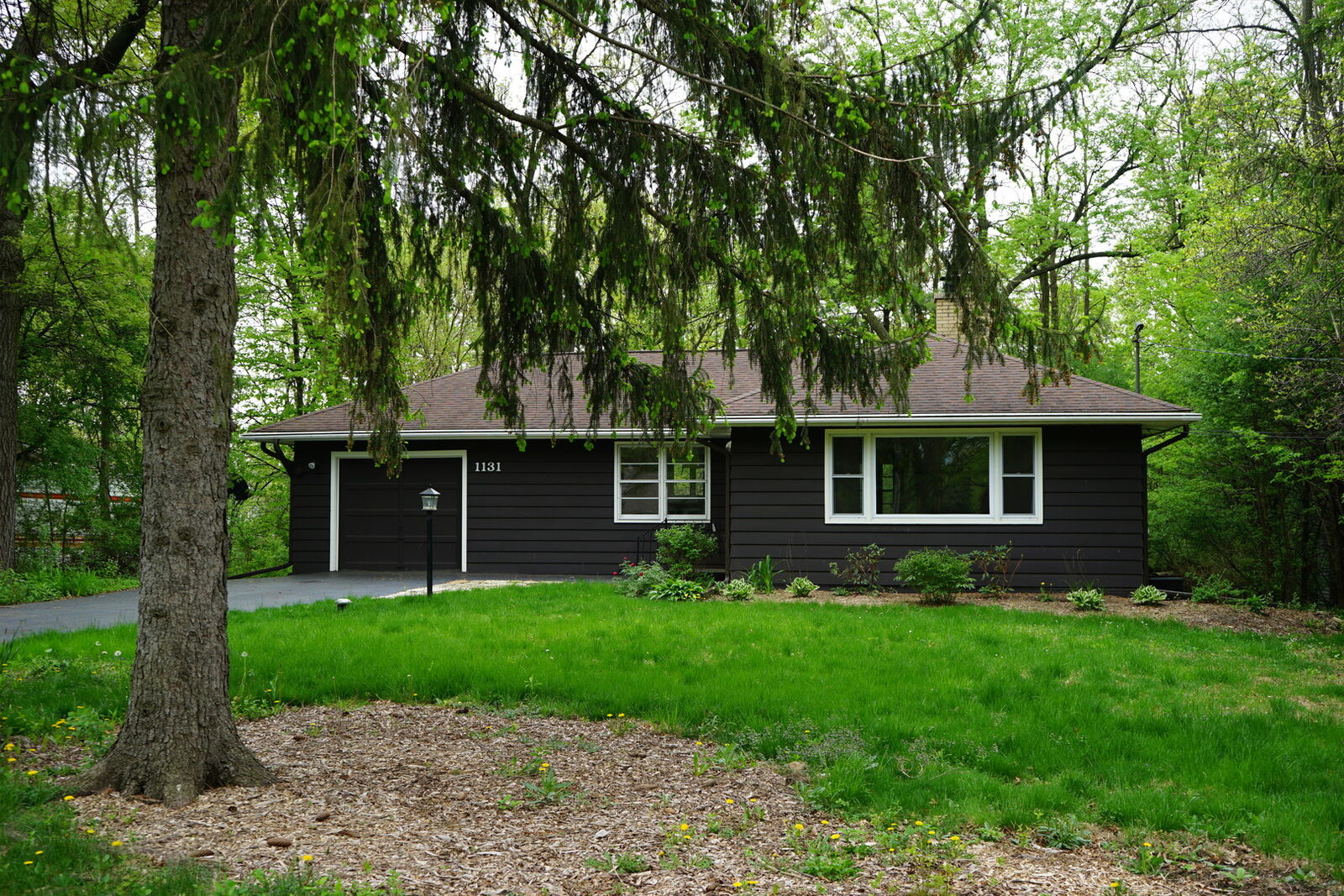 Property Photo:  1131 Timber Trails Road  IL 60516 