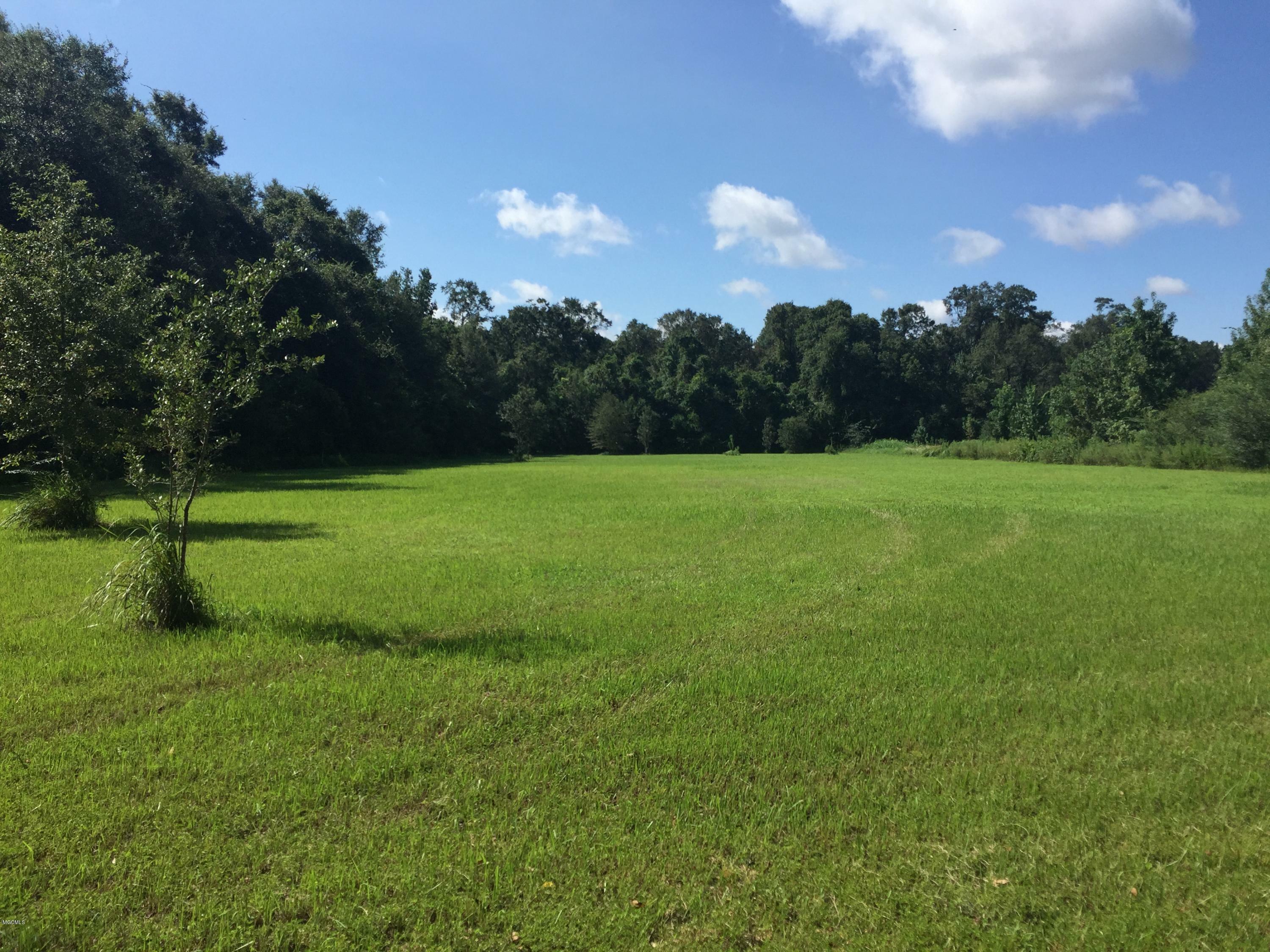 N/A Coleman Homestead Road  Moss Point MS 39562 photo