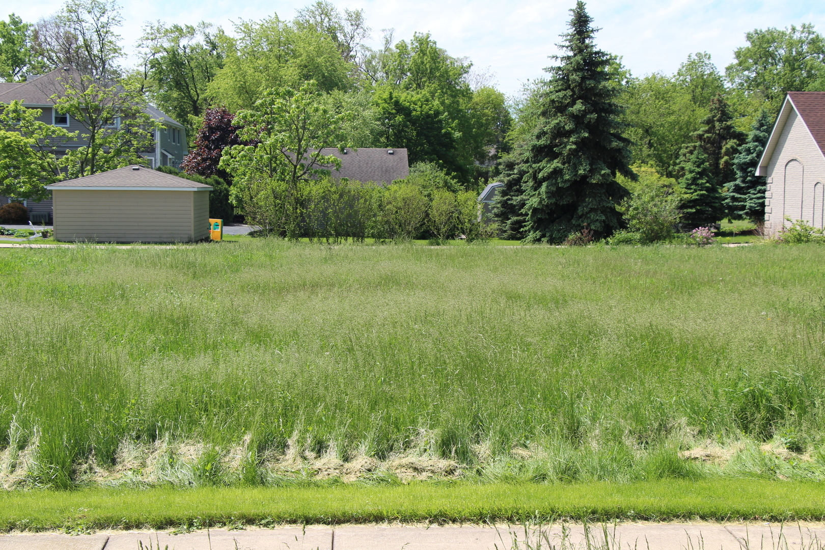 Property Photo:  203 West Traube Avenue  IL 60559 