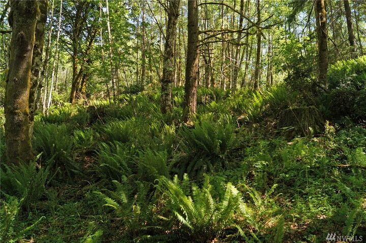 0 E Ballow Rd  Shelton WA 98584 photo