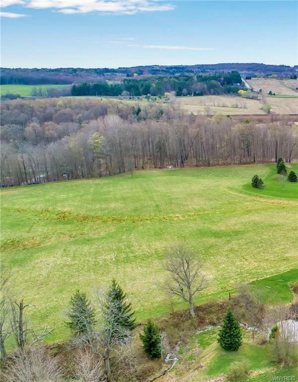 Property Photo:  4590 Route 78  NY 14009 