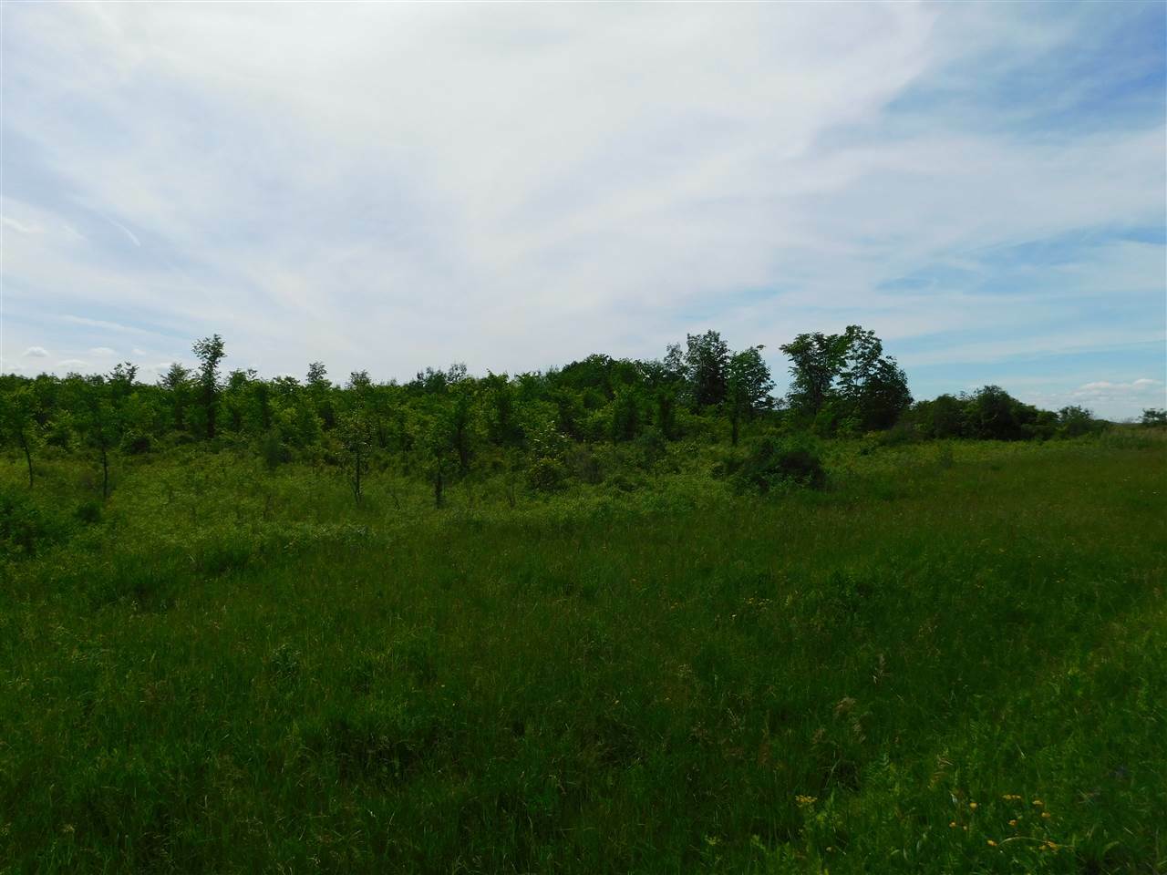 Property Photo:  Millers Corners Road  NY 12053 