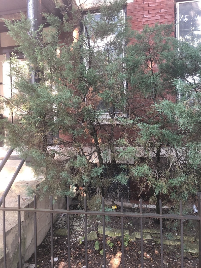 Property Photo: