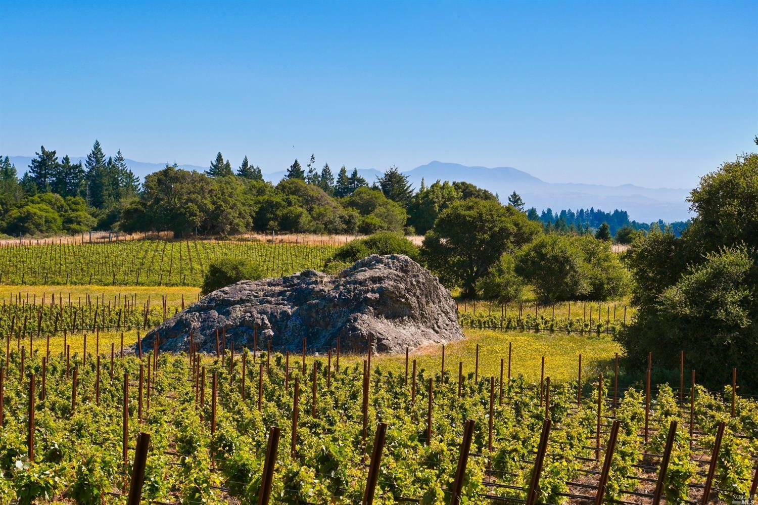 Property Photo: 16000 Coleman Valley Road CA 95465