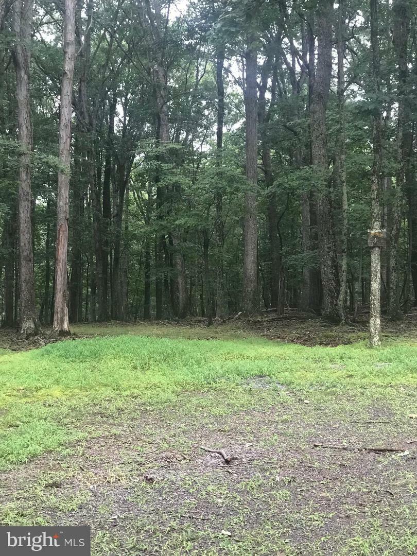 Property Photo: Bench Lane WV 25422