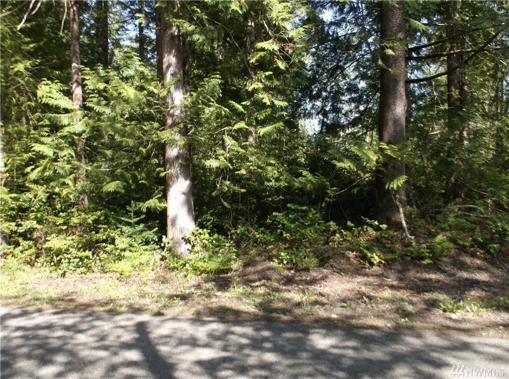 Property Photo:  1041 E Sunset Hill Rd  WA 98284 