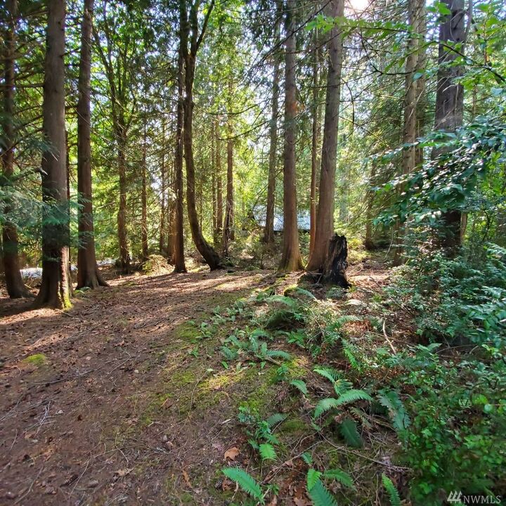Property Photo:  383 E Pointes Dr E  WA 98584 