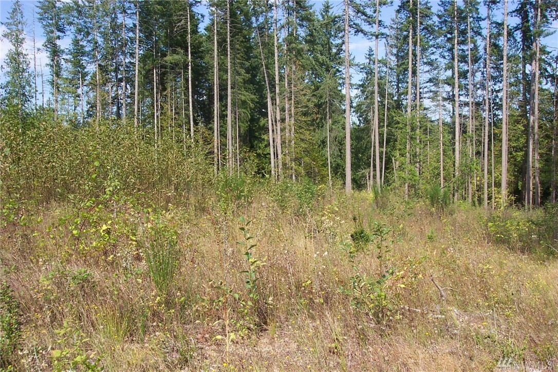 Property Photo:  12567 Old Frontier Rd NW Lot D  WA 98383 